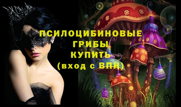 синтетический гашиш Медвежьегорск
