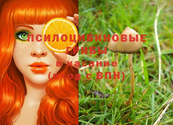 эйфоретик Михайловка