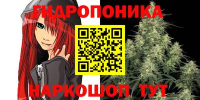скорость Бийск