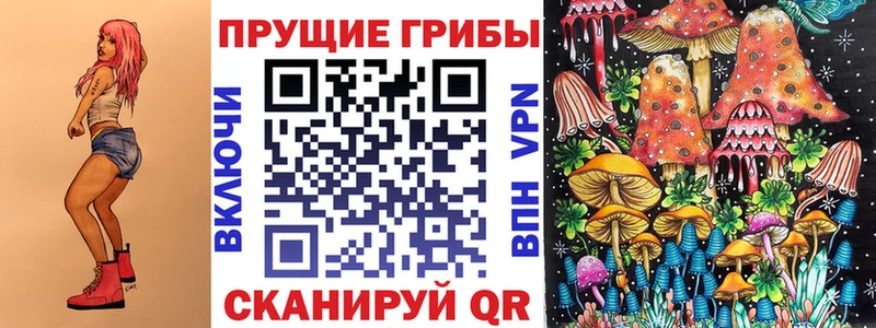Псилоцибиновые грибы Cubensis  где найти   Новоалтайск 