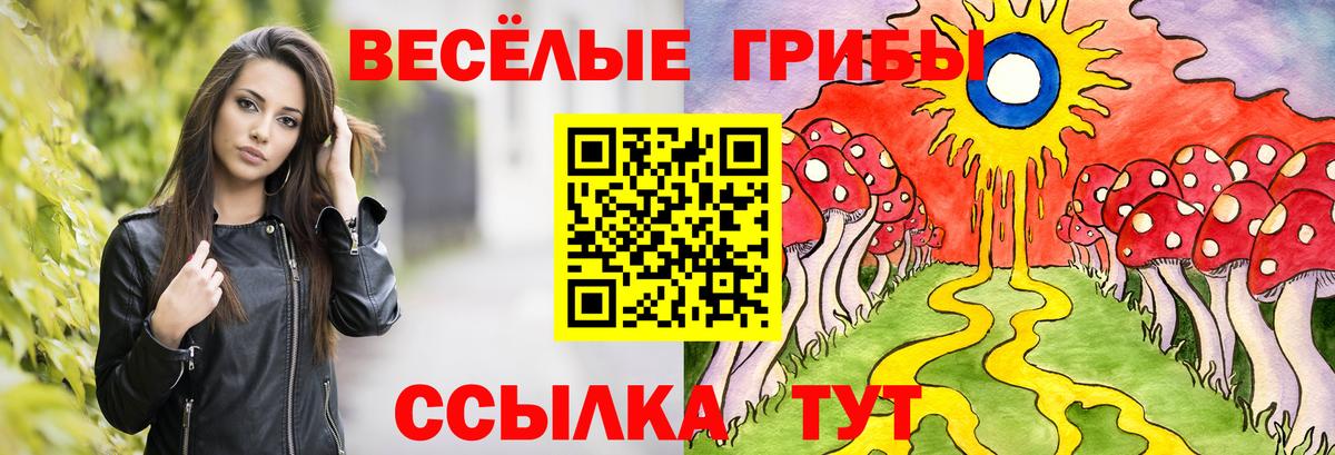 Псилоцибиновые грибы прущие грибы  Псилоцибиновые грибы Cubensis  Новоалтайск  Вход с VPN 