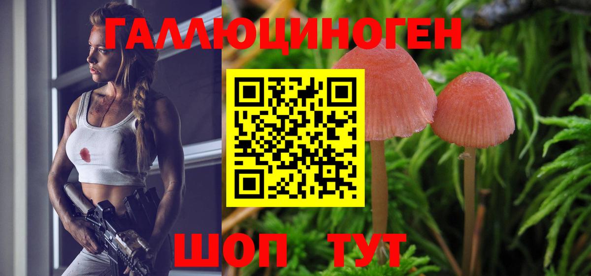 Галлюциногенные грибы мицелий Новоалтайск