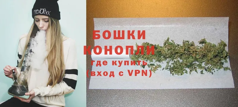 Бошки марихуана White Widow  Новоалтайск 